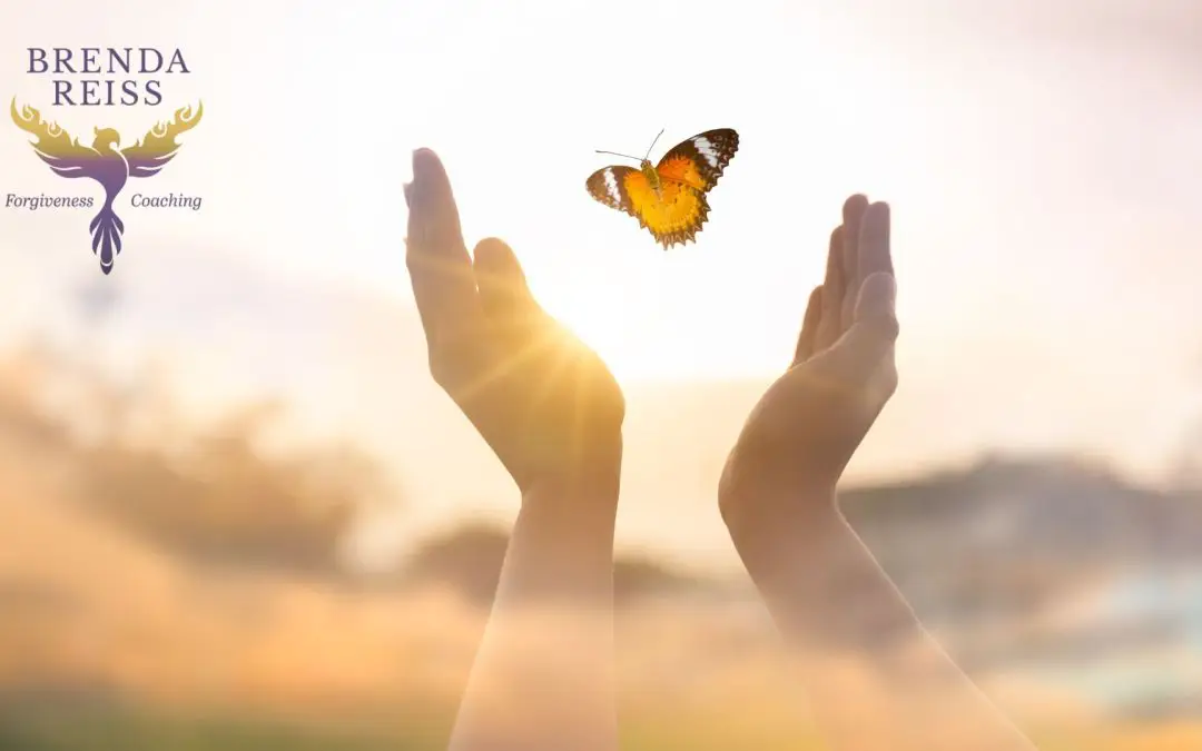 3 Forgiveness Practices: A Welcome Transformation to Your Life